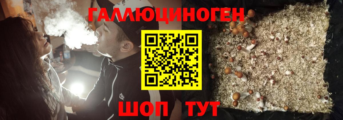 Галлюциногенные грибы мицелий  Вход с VPN  Тавда 
