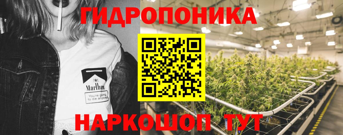 МАРИХУАНА конопля  Конопля SATIVA & INDICA  Вход с VPN  Тавда  Конопля Bruce Banner 